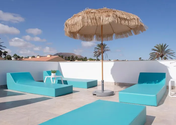 The Moss - Design In - By Luna Corralejo