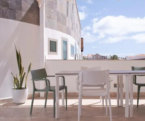 The Moss - Design In - By Luna